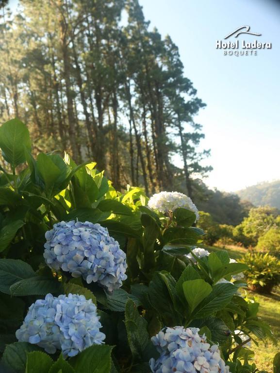 Hotel Ladera Boquete Kültér fotó